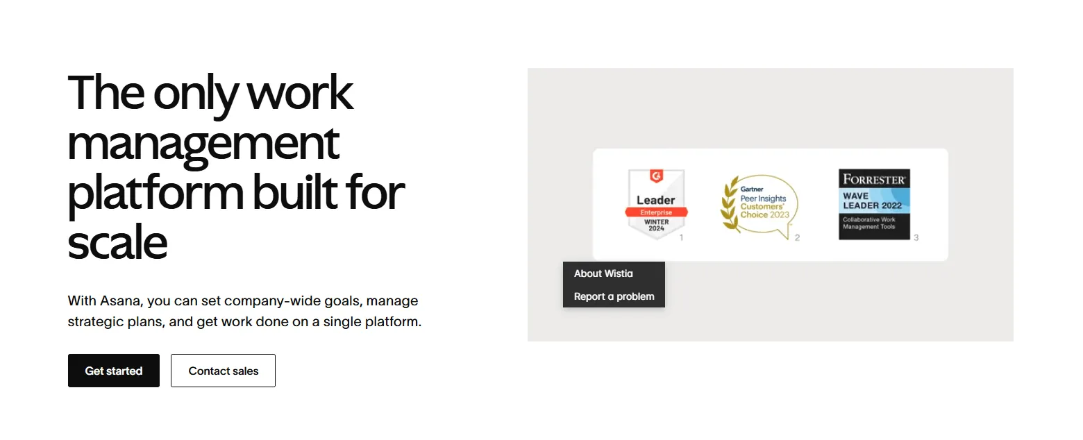 Asana Project Management tool