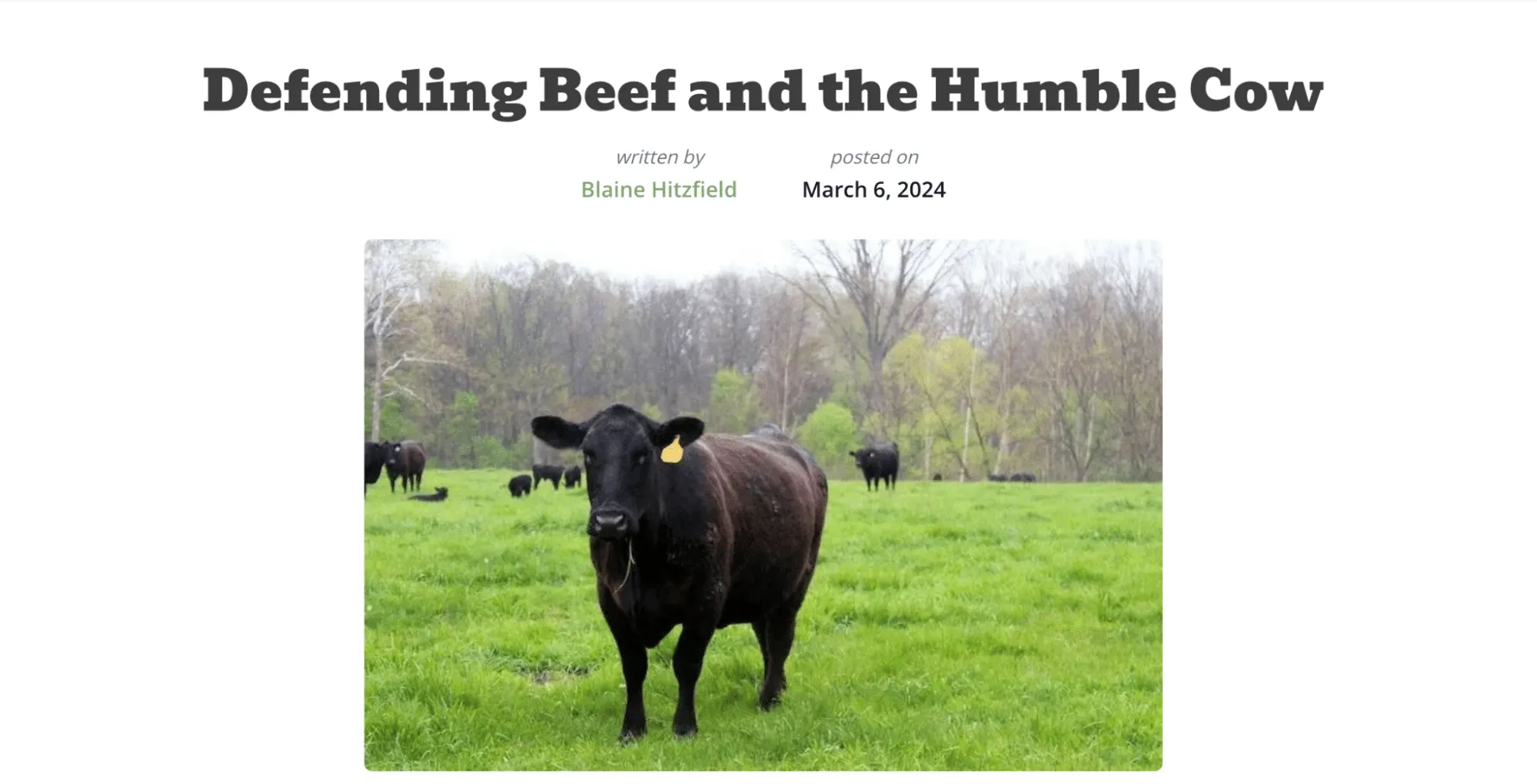 Seven Sons Blog Content