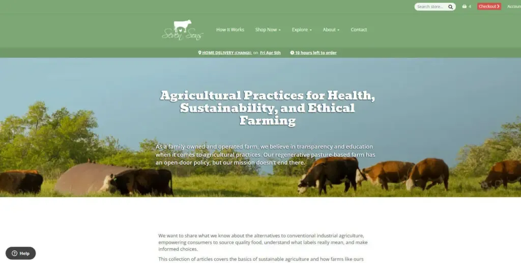 SevenSons screenshot