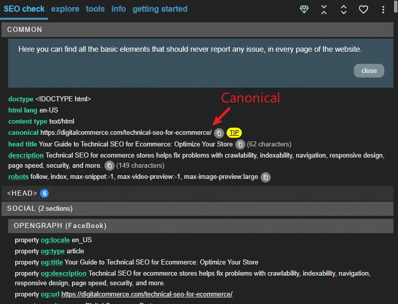 META SEO Inspector canonical link