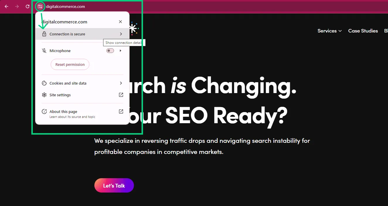 Checking Protocol Security in Browser