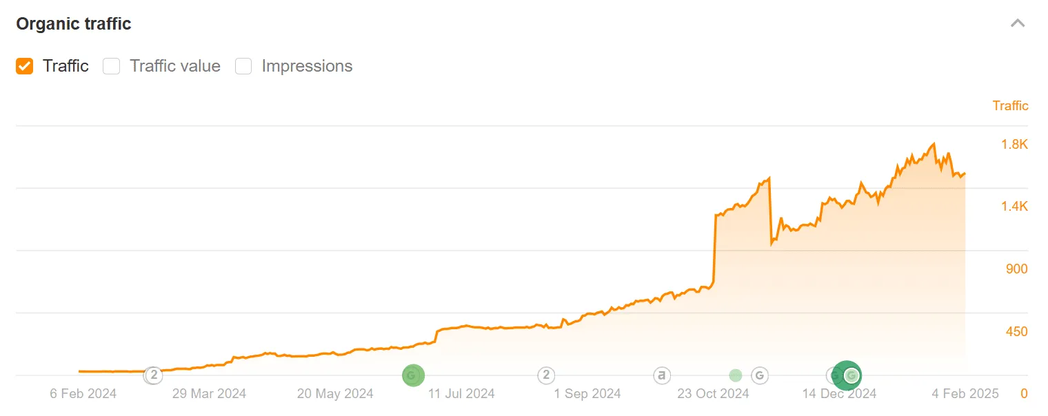 Website Traffic Graph