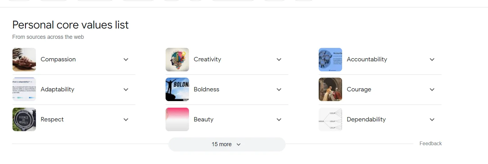 Google SERP Features
