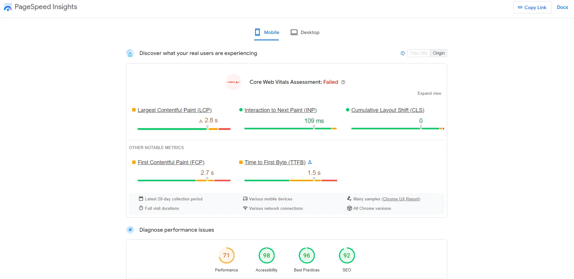Page Speed Insights Audit