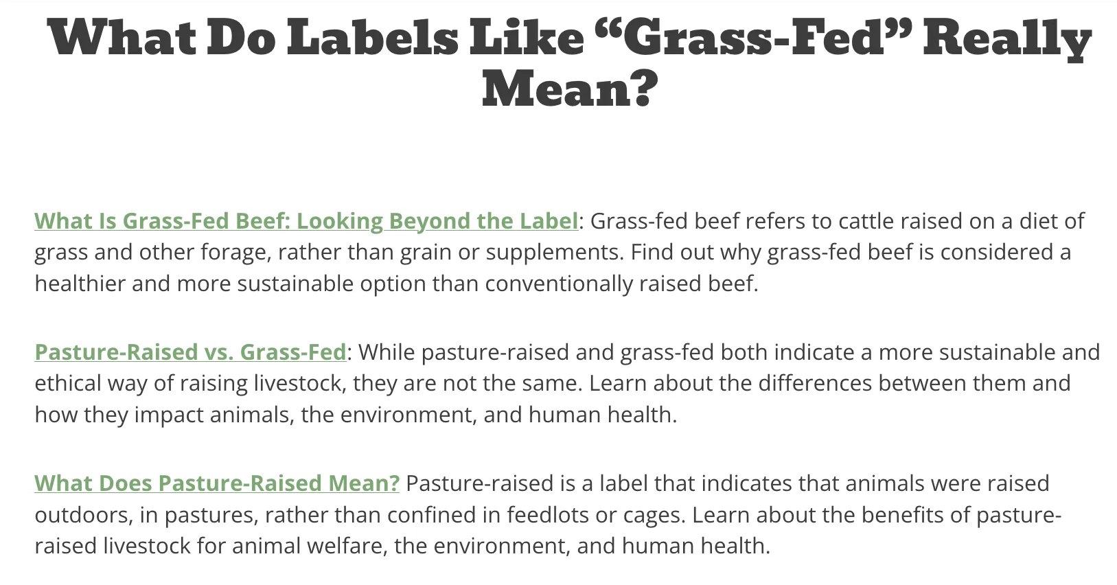 Seven Sons Blog Article