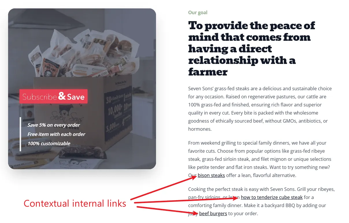 Seven Sons Internal Links