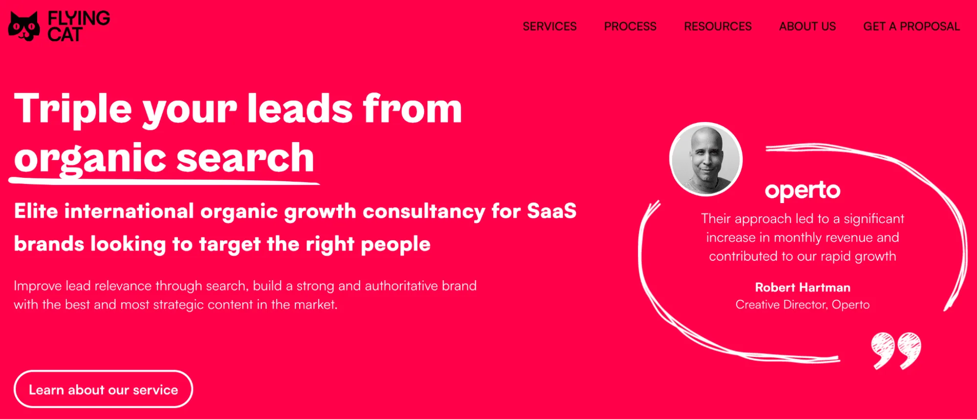 Flying Cat Marketing