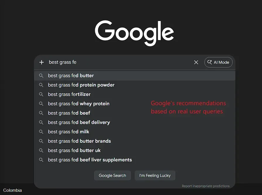 google-autocomplete-function