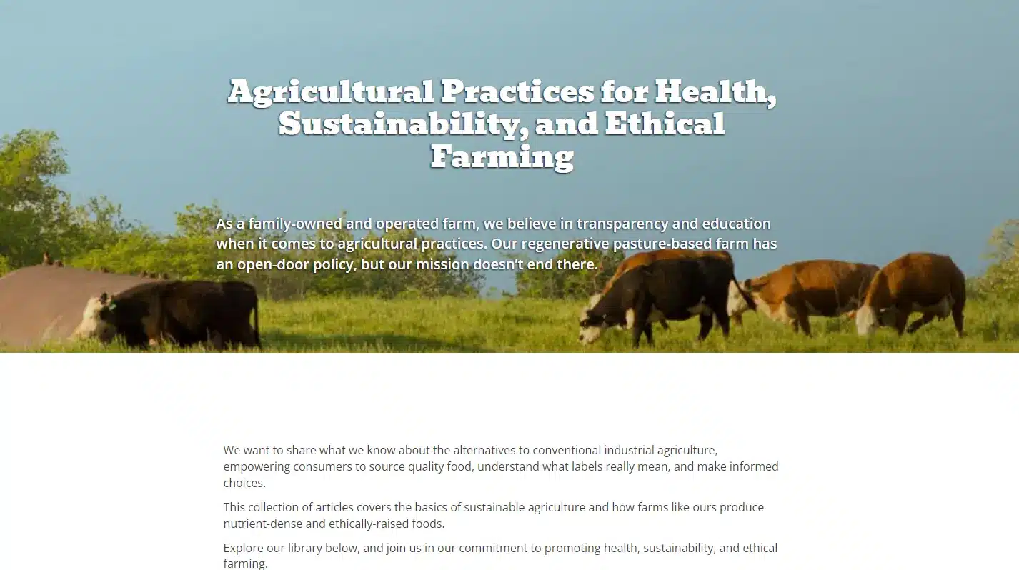 Seven Sons Learning Hub content strategy