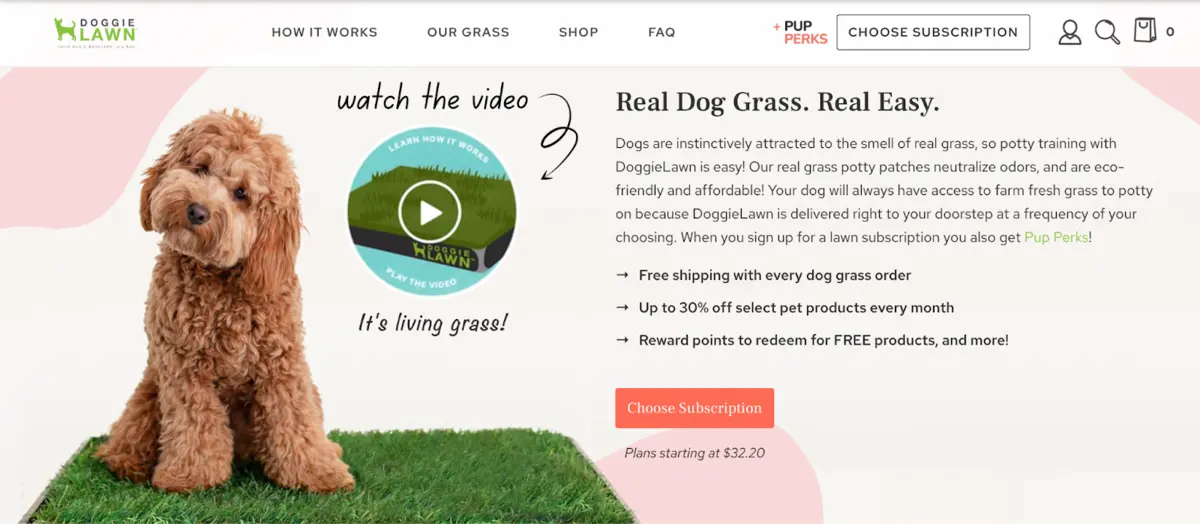 DoggieLawn video