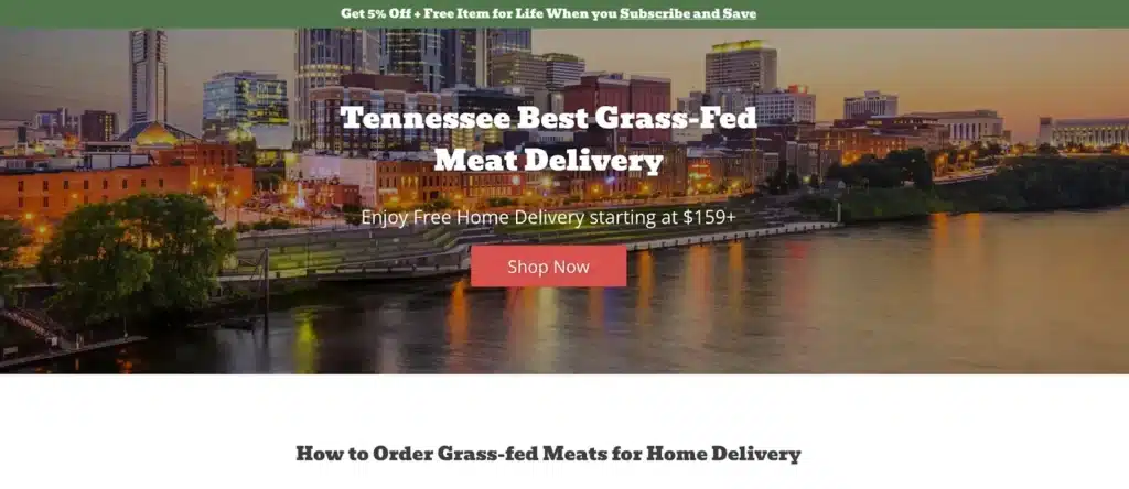 Ecommerce Content Marketing: The Underrated Sales Engine Example of a client's landing page