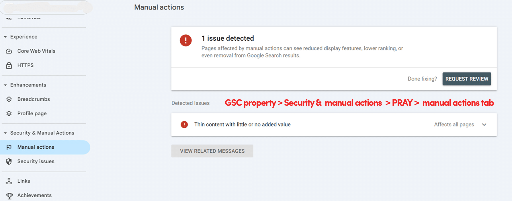 Manual Action Notice